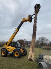 Baum aufstellen.jpg